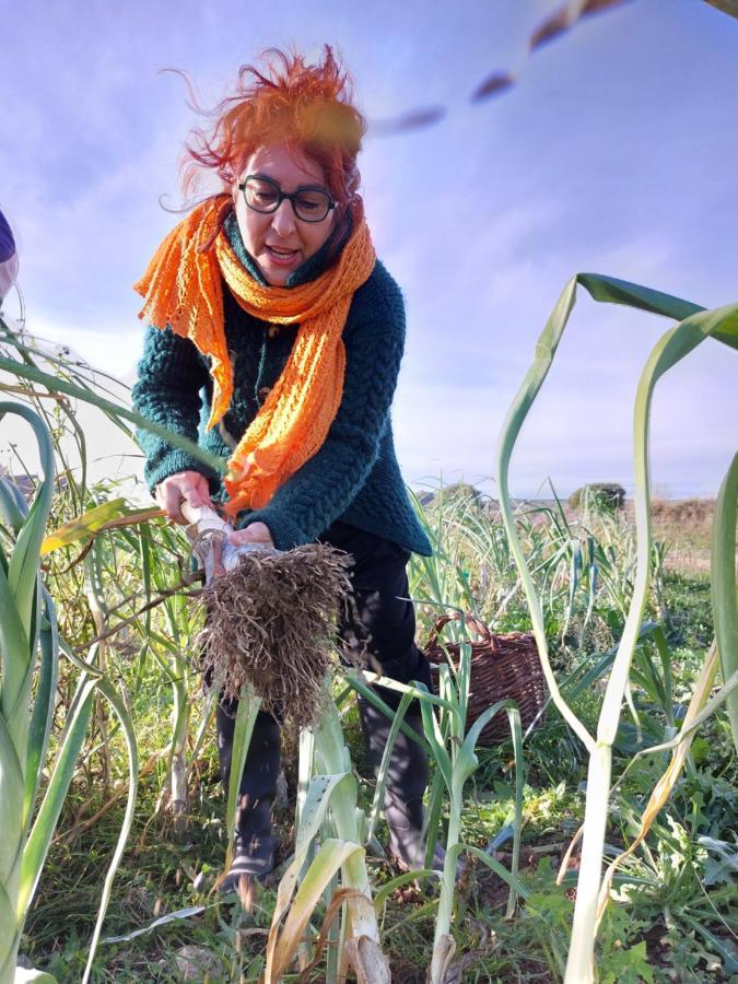 Turismo Rural La Ojinegra Alloza Екстериор снимка